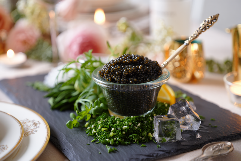 0d4b80fb987de5478b3f18c266ca839b