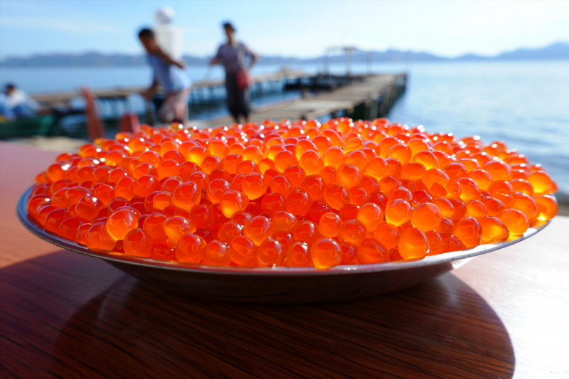 31d3a8238273fd63af388e92bcc3a79a