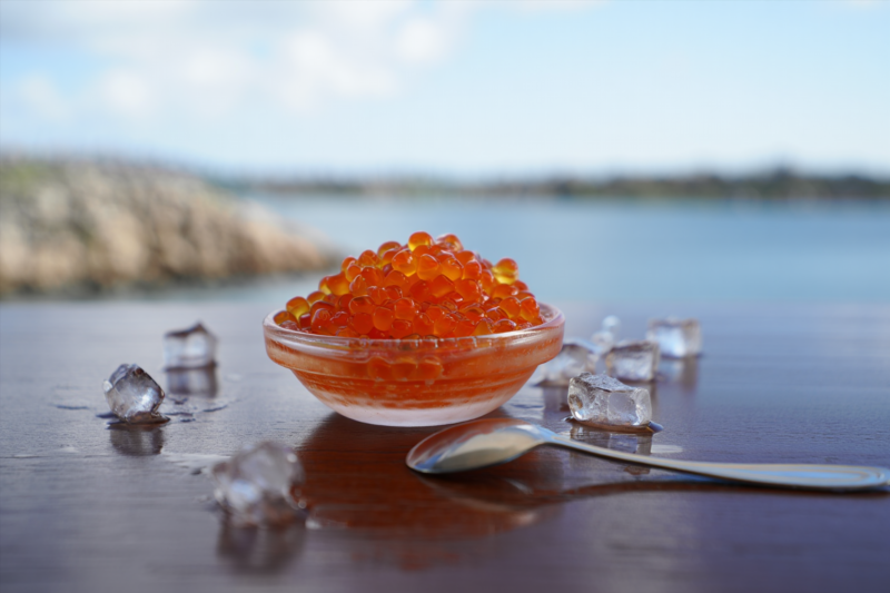 3a60568a74bc7eaa4ab9389b4c10bef6